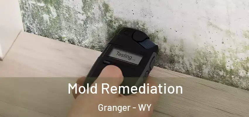 Mold Remediation Granger - WY