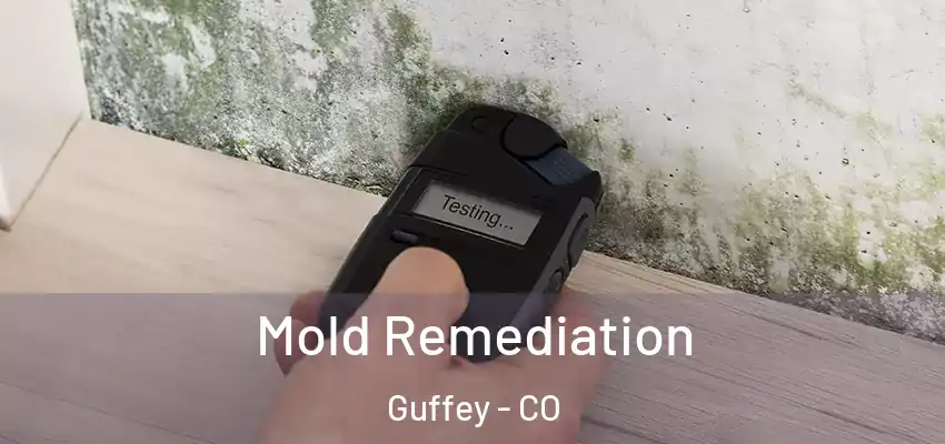 Mold Remediation Guffey - CO