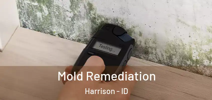  Mold Remediation Harrison - ID