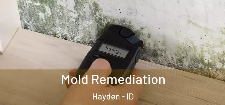 Mold Remediation Hayden - ID