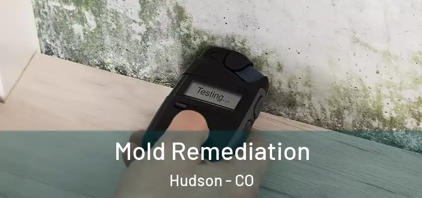  Mold Remediation Hudson - CO