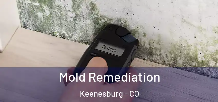 Mold Remediation Keenesburg - CO