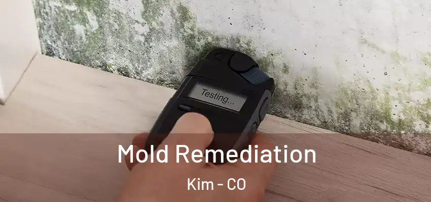 Mold Remediation Kim - CO