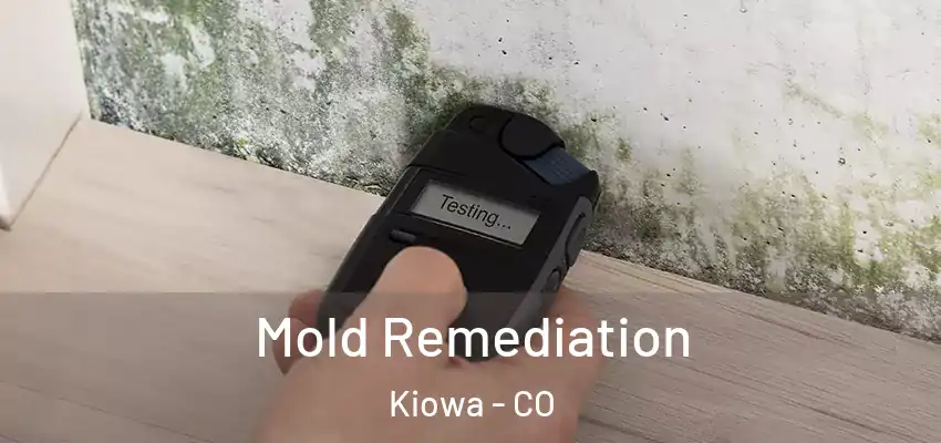  Mold Remediation Kiowa - CO