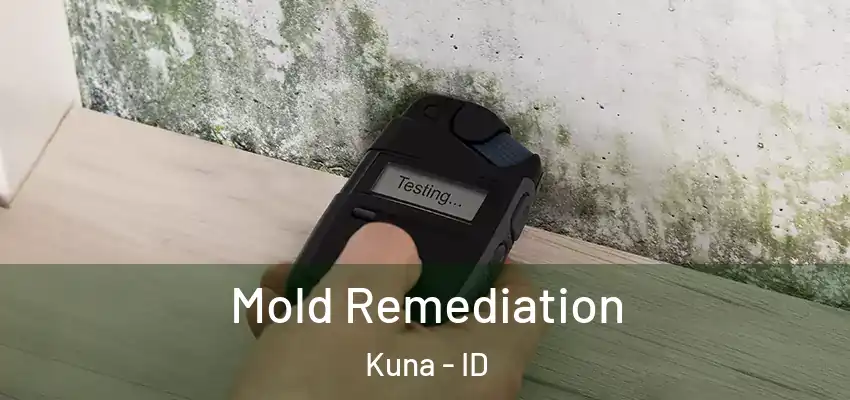  Mold Remediation Kuna - ID