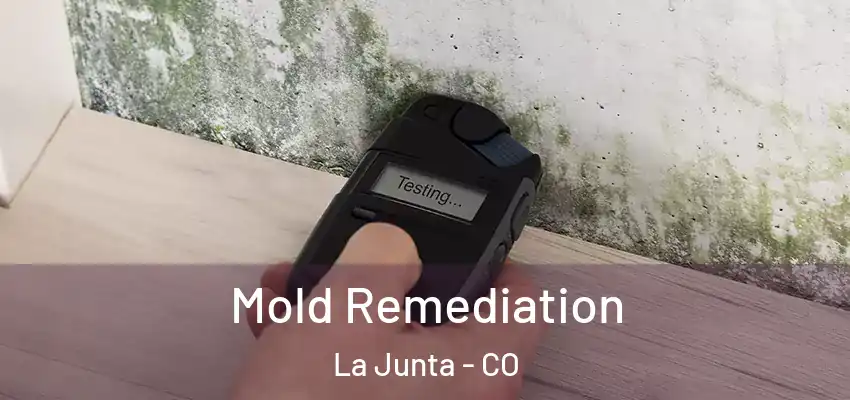 Mold Remediation La Junta - CO