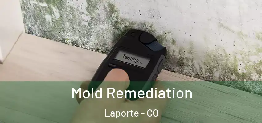  Mold Remediation Laporte - CO
