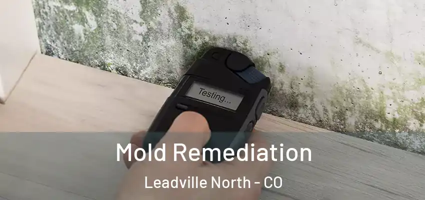  Mold Remediation Leadville North - CO