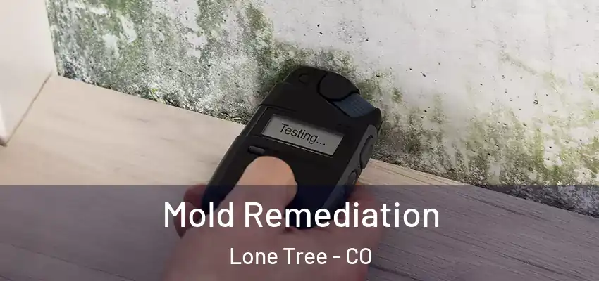  Mold Remediation Lone Tree - CO