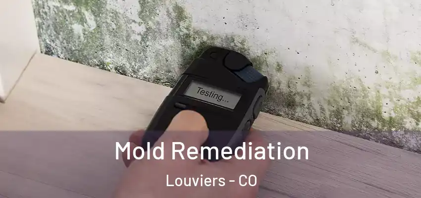 Mold Remediation Louviers - CO