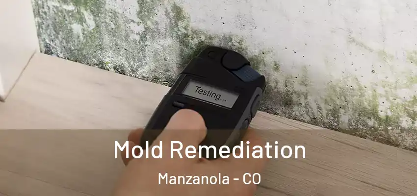  Mold Remediation Manzanola - CO