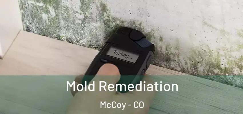 Mold Remediation McCoy - CO