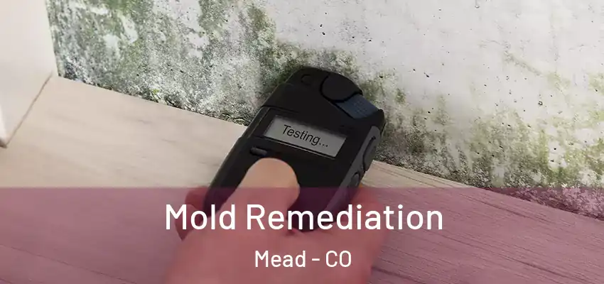  Mold Remediation Mead - CO