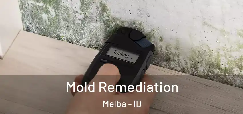  Mold Remediation Melba - ID