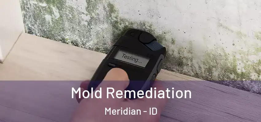  Mold Remediation Meridian - ID