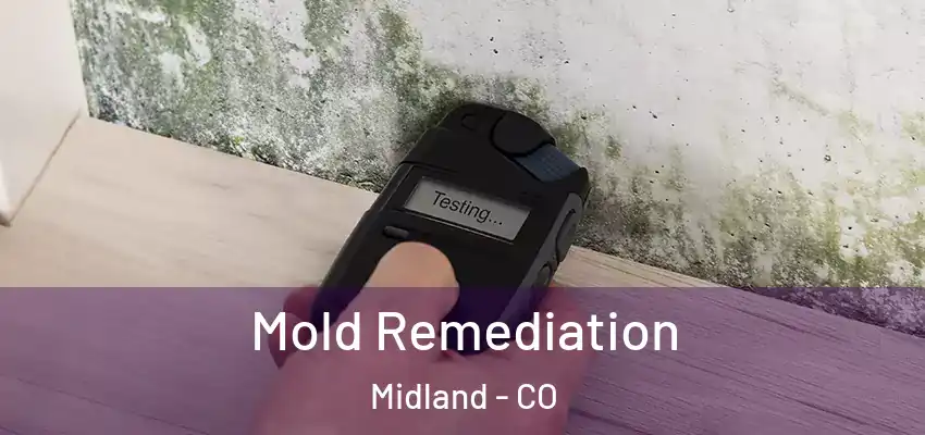 Mold Remediation Midland - CO