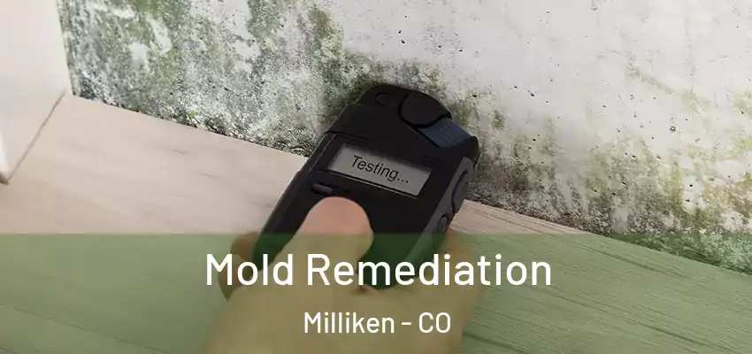  Mold Remediation Milliken - CO