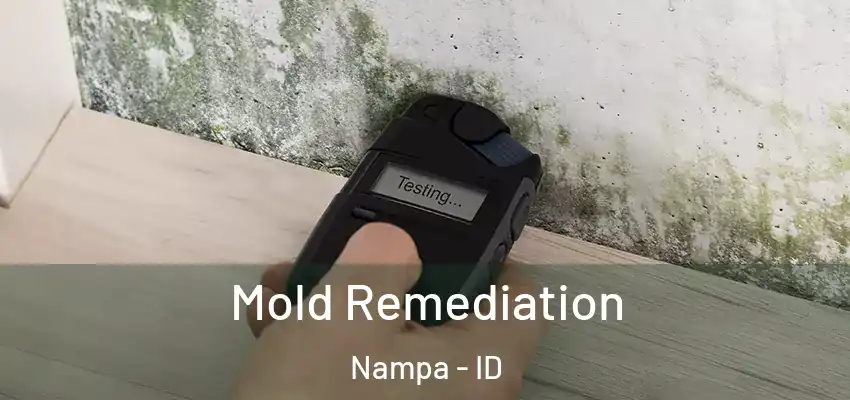  Mold Remediation Nampa - ID