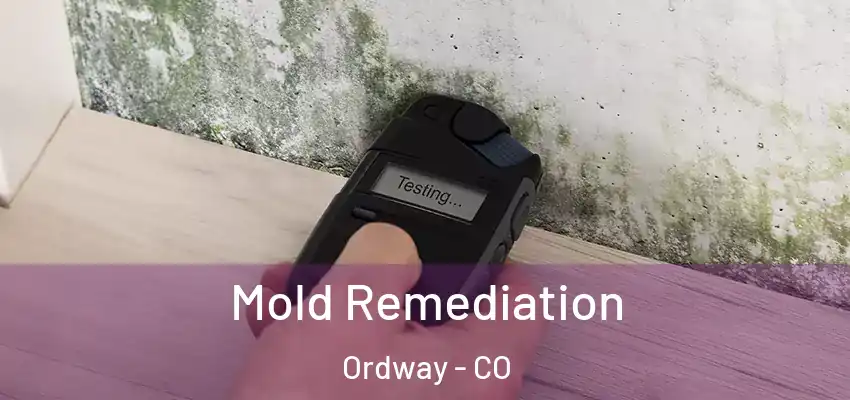  Mold Remediation Ordway - CO