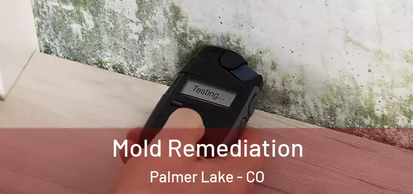  Mold Remediation Palmer Lake - CO