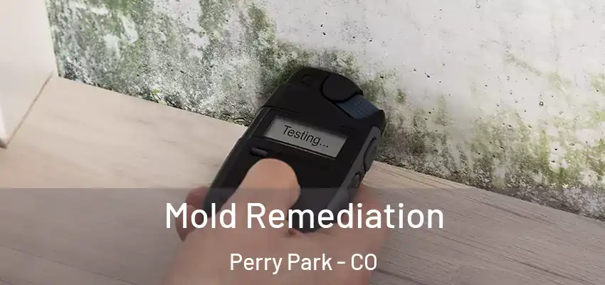  Mold Remediation Perry Park - CO