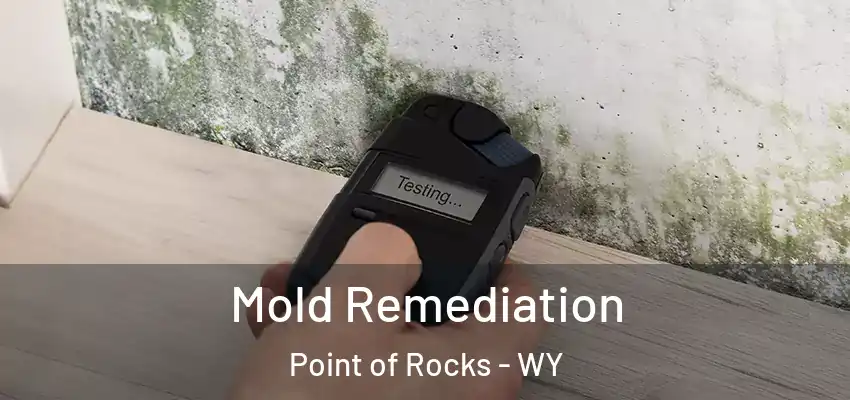  Mold Remediation Point of Rocks - WY