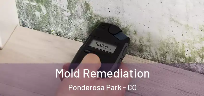  Mold Remediation Ponderosa Park - CO