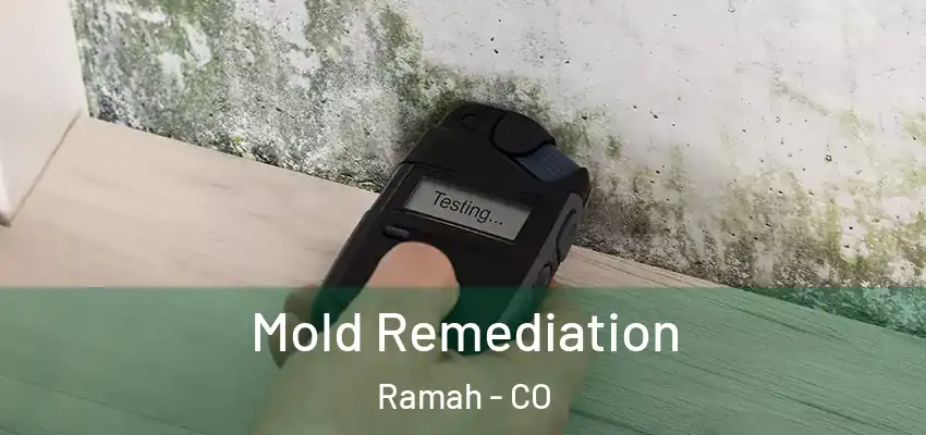 Mold Remediation Ramah - CO