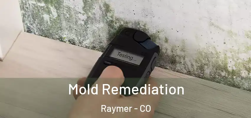  Mold Remediation Raymer - CO