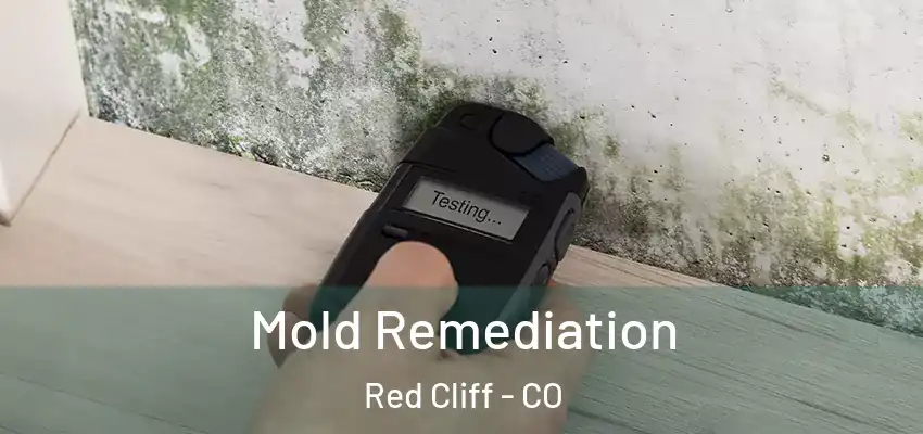 Mold Remediation Red Cliff - CO