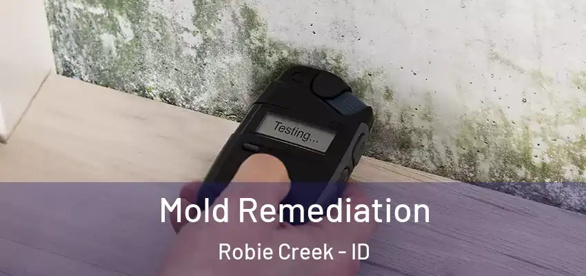 Mold Remediation Robie Creek - ID