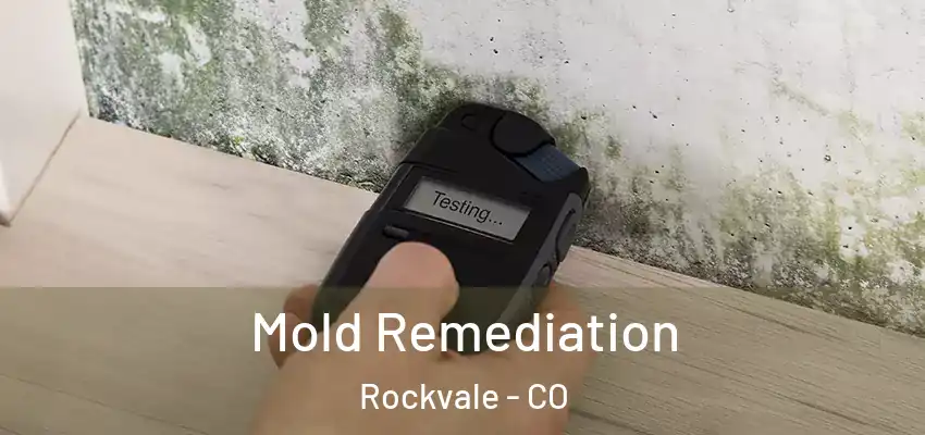 Mold Remediation Rockvale - CO