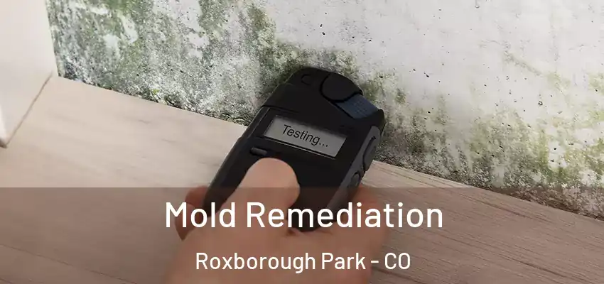  Mold Remediation Roxborough Park - CO