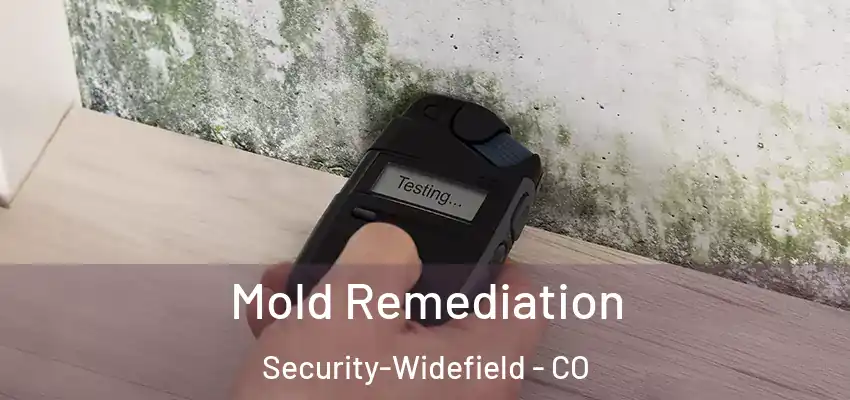 Mold Remediation Security-Widefield - CO