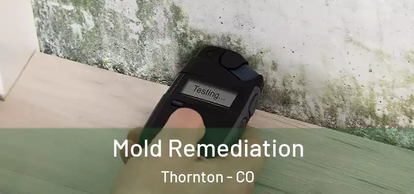 Mold Remediation Thornton - CO