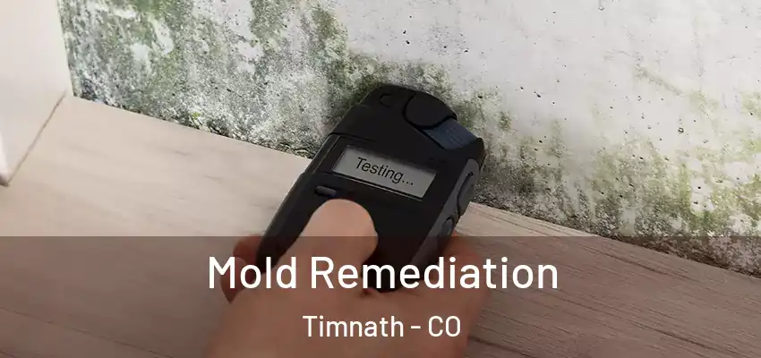  Mold Remediation Timnath - CO