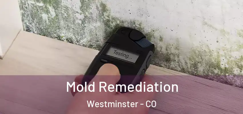  Mold Remediation Westminster - CO