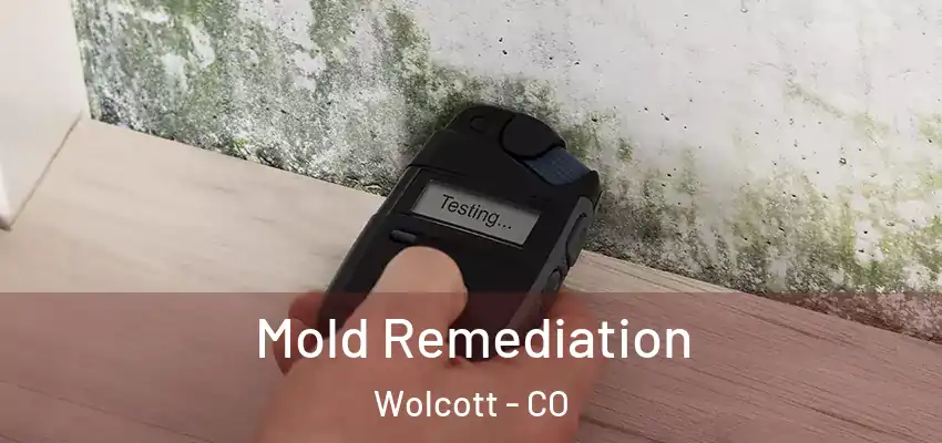 Mold Remediation Wolcott - CO