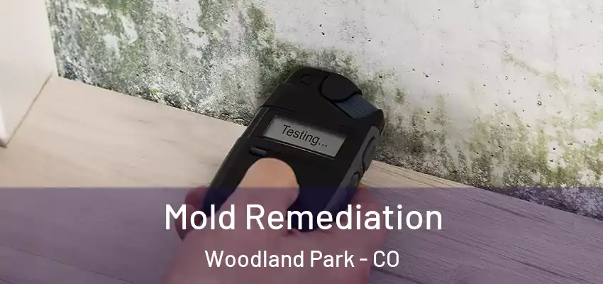  Mold Remediation Woodland Park - CO