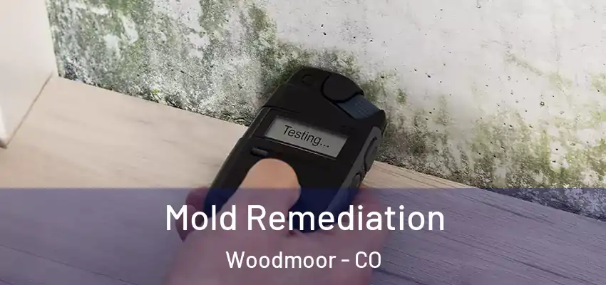 Mold Remediation Woodmoor - CO