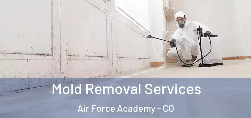  Mold Removal Services Air Force Academy - CO