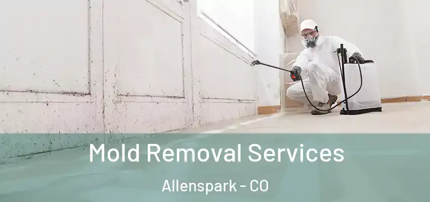  Mold Removal Services Allenspark - CO