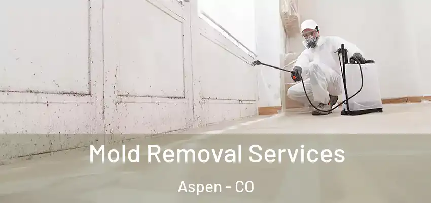  Mold Removal Services Aspen - CO