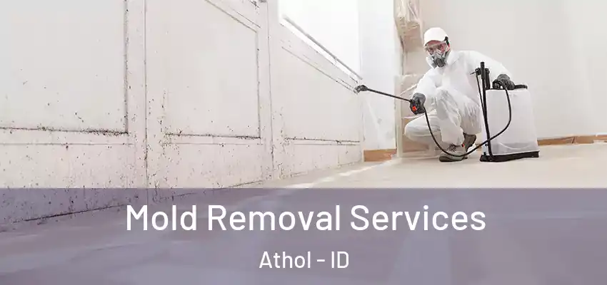  Mold Removal Services Athol - ID