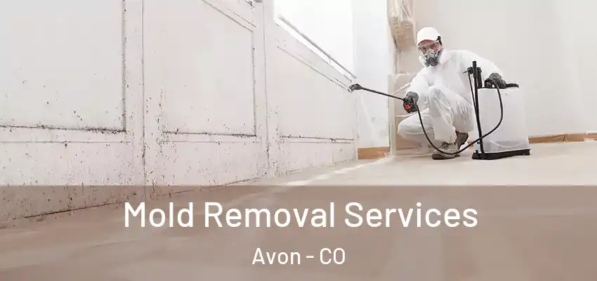  Mold Removal Services Avon - CO