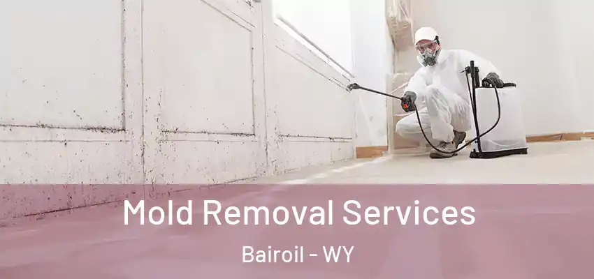Mold Removal Services Bairoil - WY