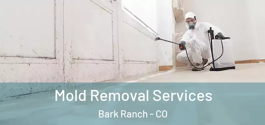  Mold Removal Services Bark Ranch - CO