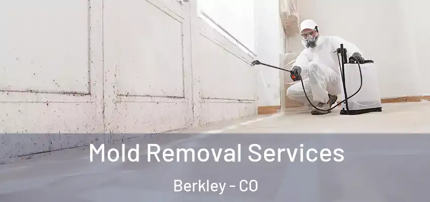  Mold Removal Services Berkley - CO