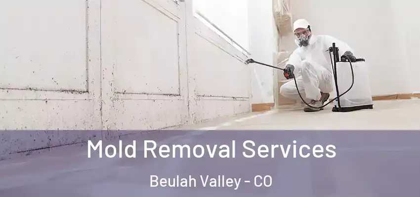  Mold Removal Services Beulah Valley - CO
