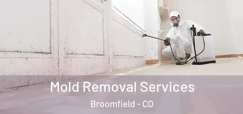  Mold Removal Services Broomfield - CO
